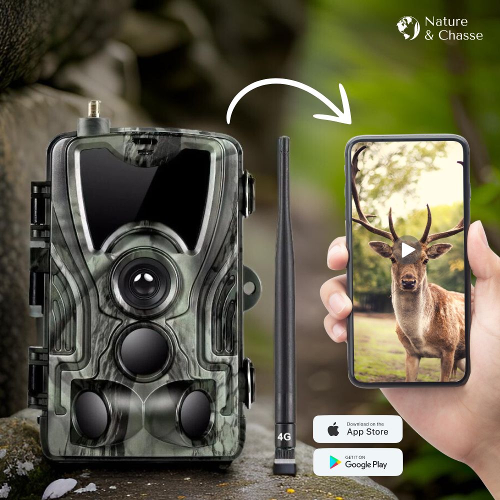 Caméra de Chasse 4G 4K - Batterie Rechargeable - Nature & Chasse®
