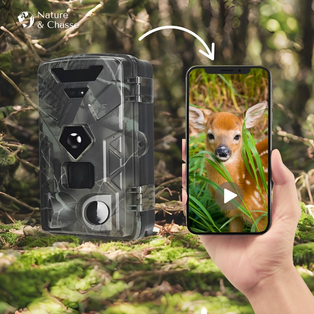 Caméra De Chasse 4G - Résolution 8K - Nature & Chasse®