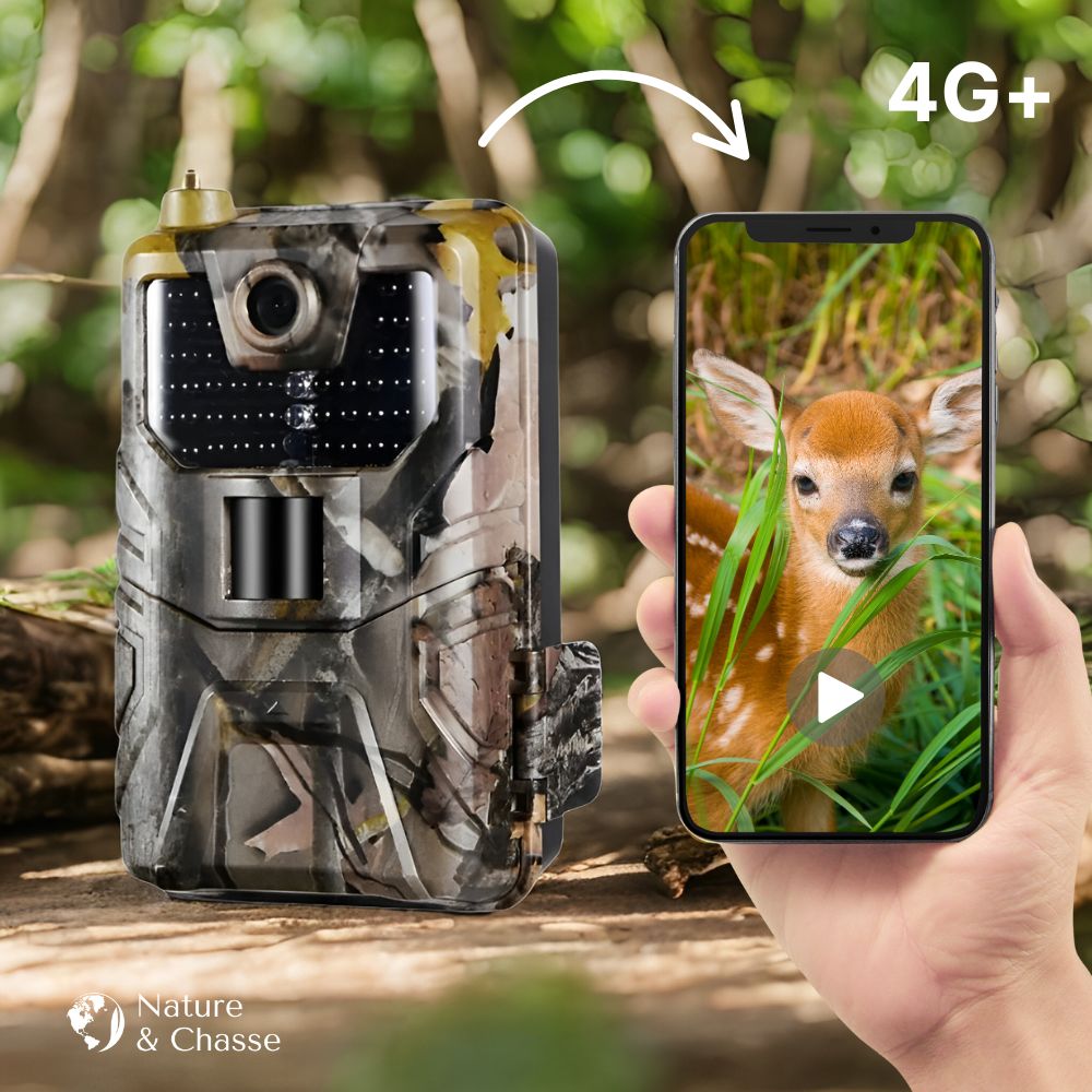 Caméra de Chasse 4K avec 4G+ et Application Mobile – Nature & Chasse®