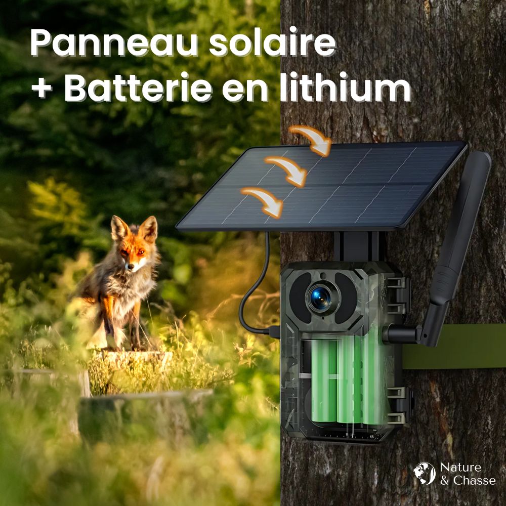 Caméra De Chasse 4G + Panneau solaire + Application Mobile