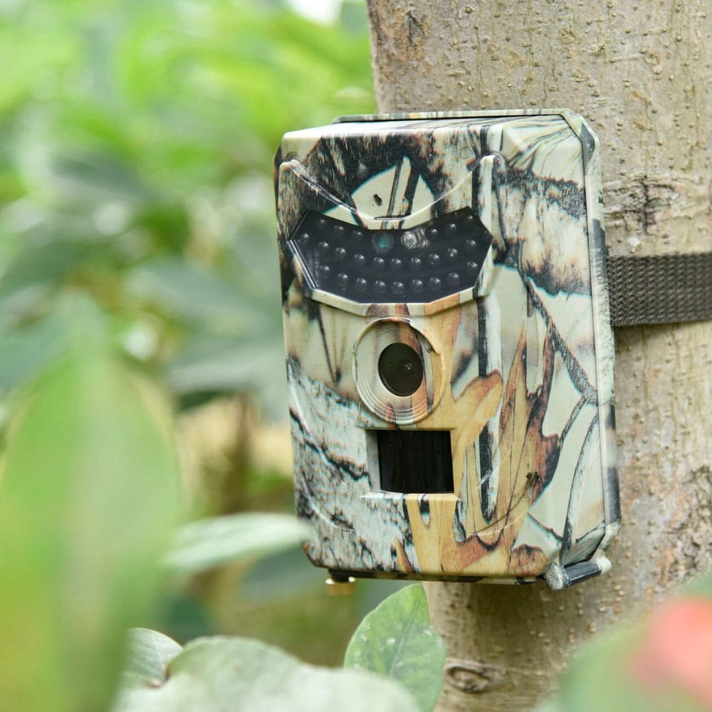 Camera de chasse - Modèle Premium - Nature & Chasse®