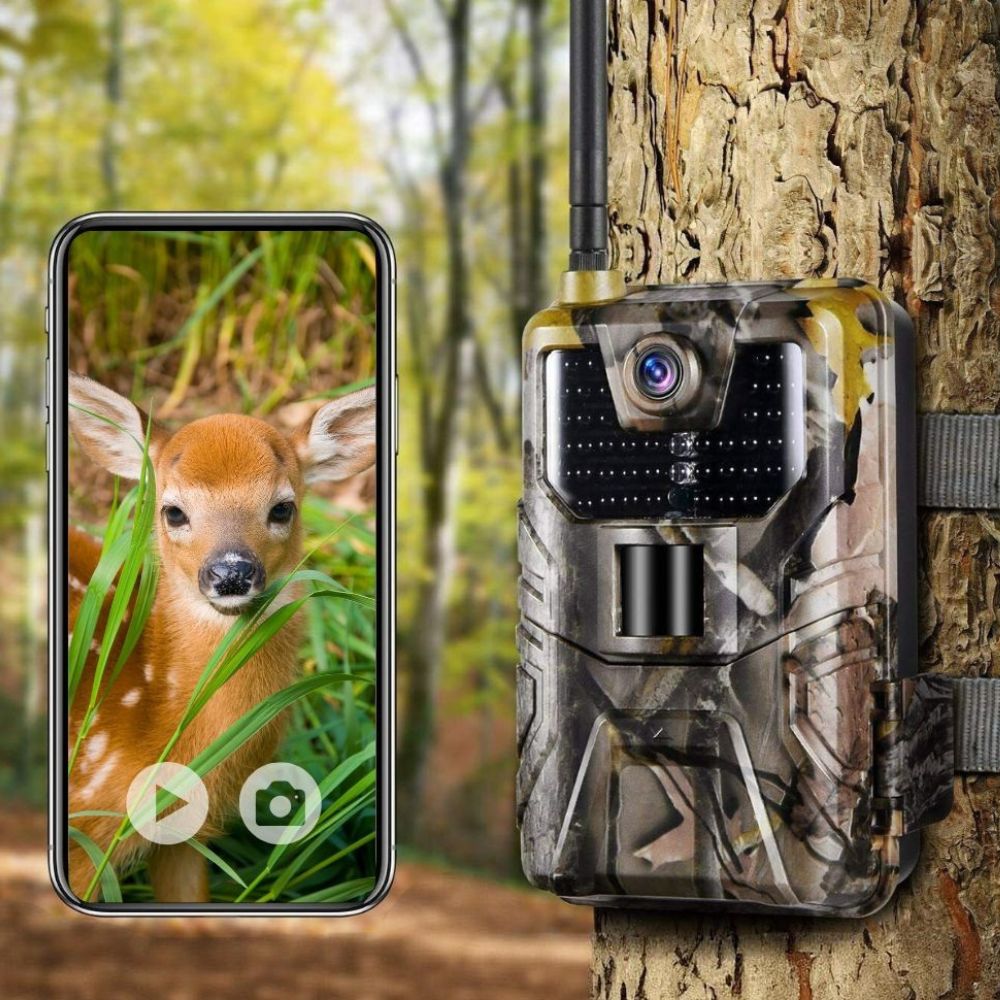 Caméra de Chasse Connectée 4K avec Alerte SMS/MMS - Nature & Chasse®