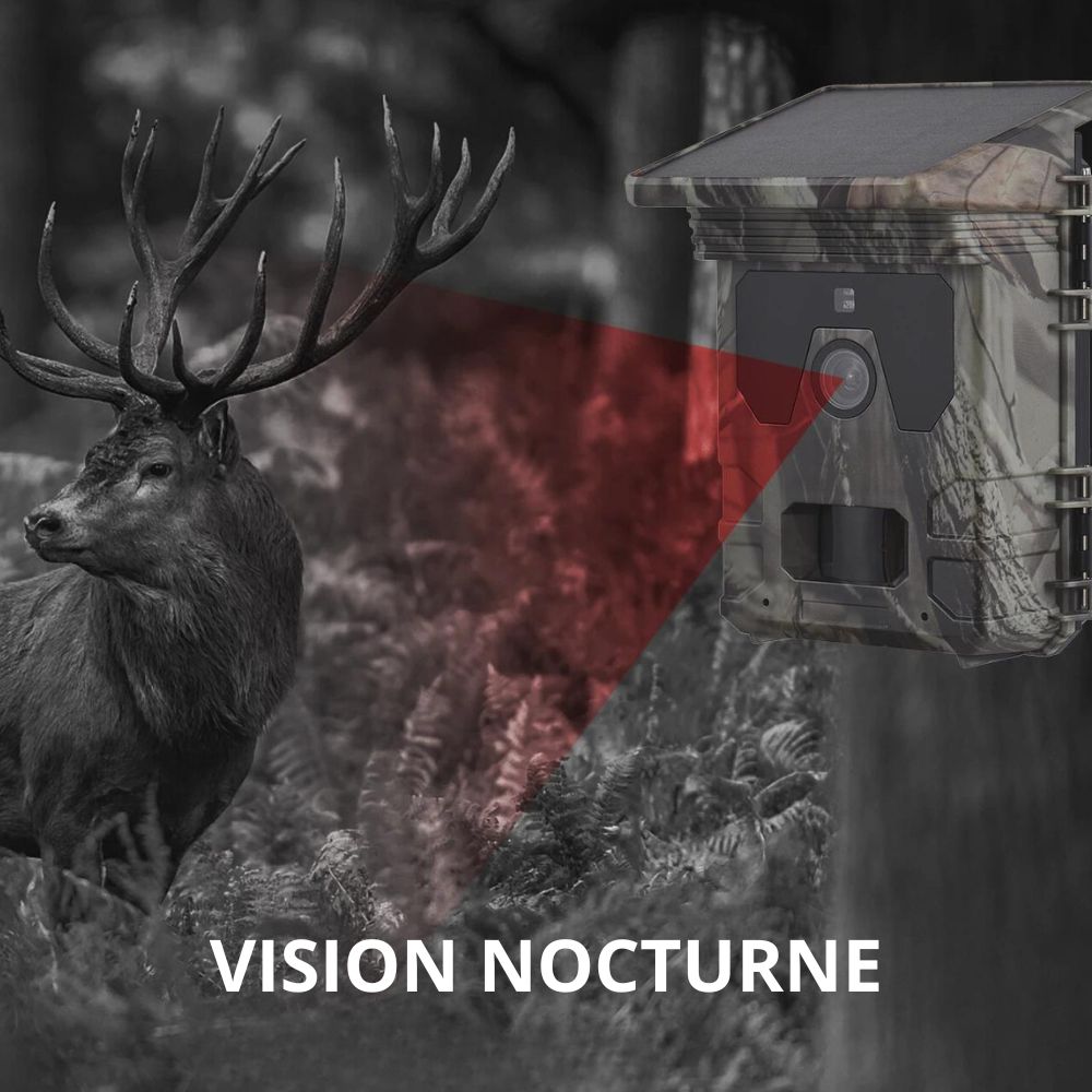 Caméra de chasse Solaire avec écran - Nature & Chasse®