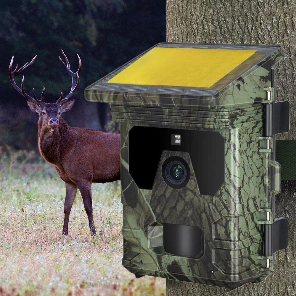 Caméra de chasse Solaire avec écran - Nature & Chasse®