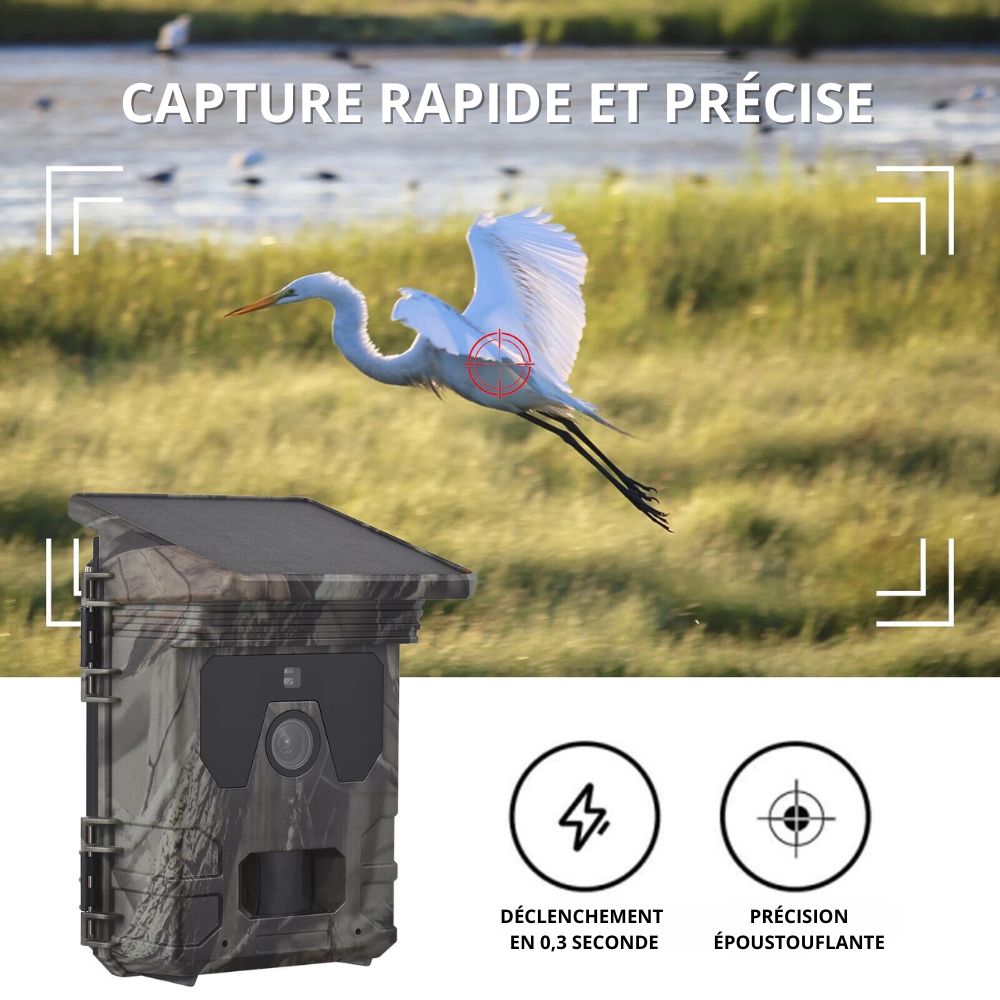 Caméra de chasse Solaire avec écran - Nature & Chasse®