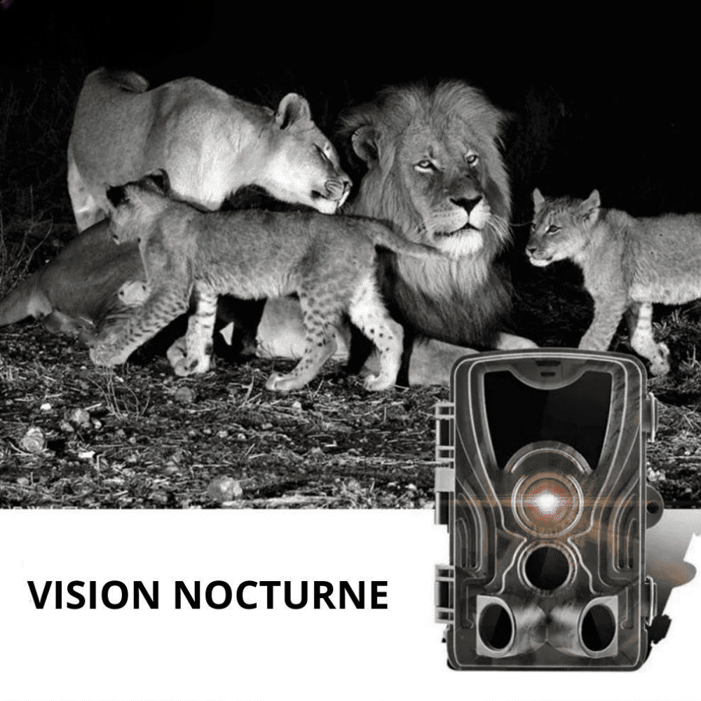 Camera de surveillance extérieure avec écran - Nature & Chasse®