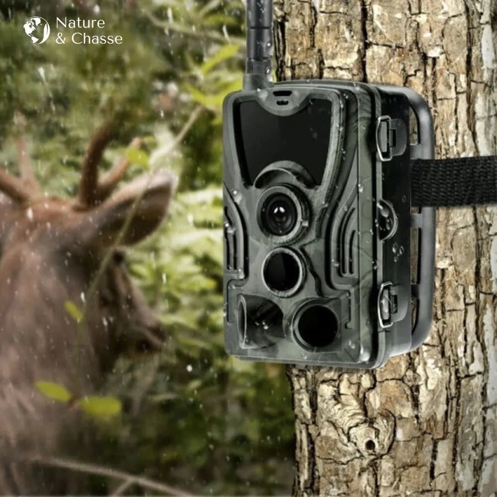 Caméra De Chasse 4G+ 4K Avec Écran - Nature & Chasse® - Caméra Chasse