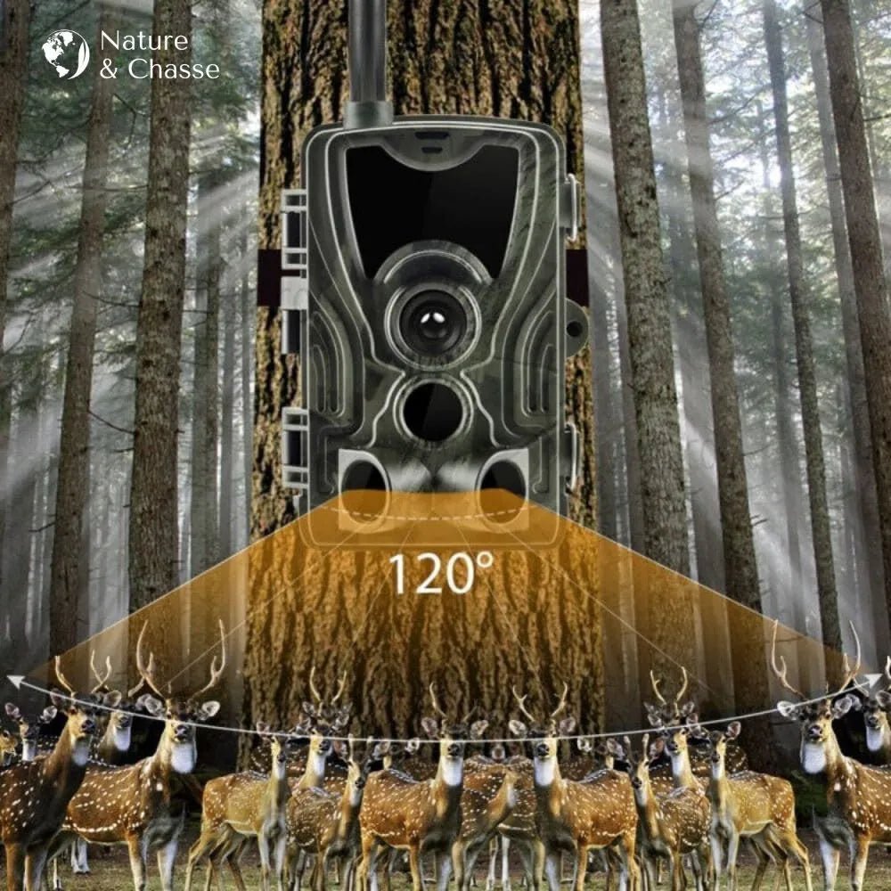 Caméra de chasse 4K avec écran - Nature & Chasse® - Caméra Chasse