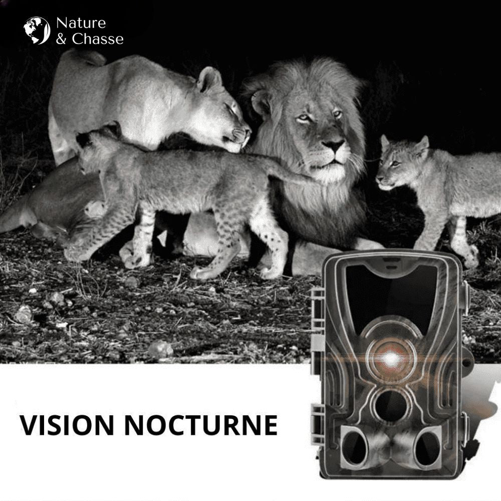 Caméra de chasse 4K avec écran - Nature & Chasse® - Caméra Chasse