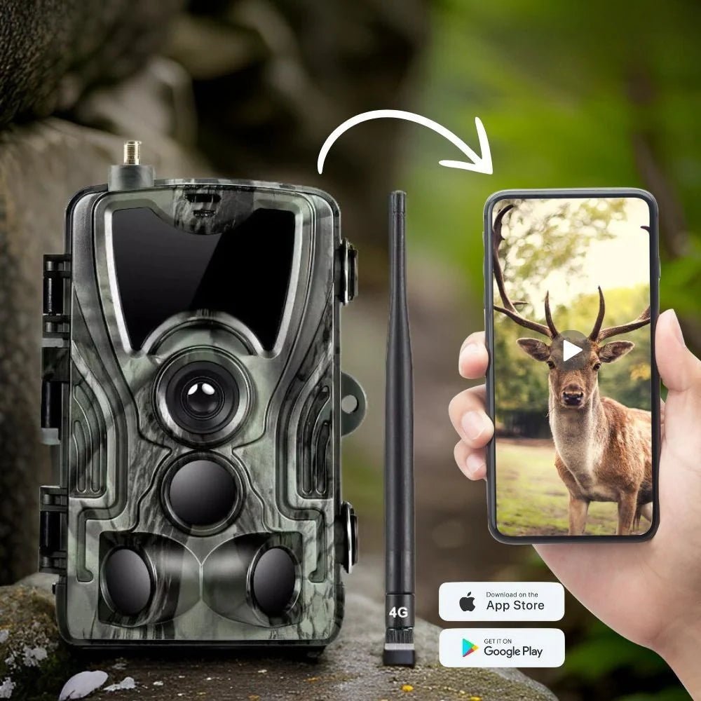 Camera de Chasse avec ecran 4G - Caméra Chasse
