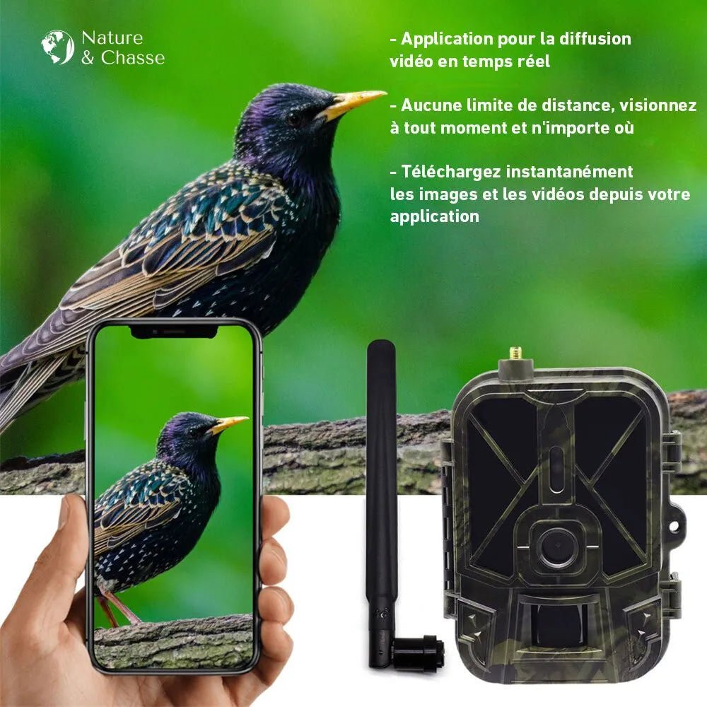 Caméra de Chasse Connectée - Nature & Chasse® - Caméra Chasse