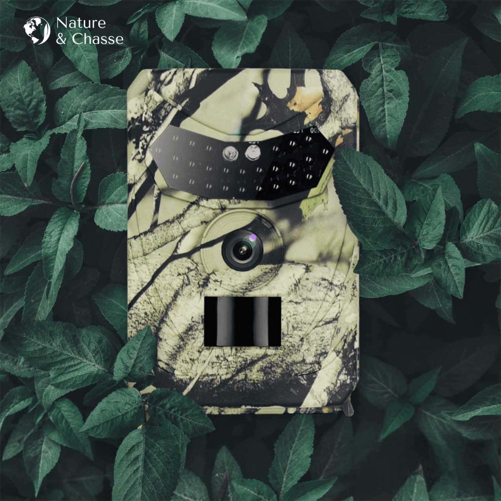 Camera de chasse Vision Nocturne - Nature & Chasse® - Caméra Chasse