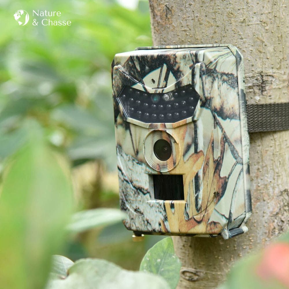 Camera de chasse Vision Nocturne - Nature & Chasse® - Caméra Chasse